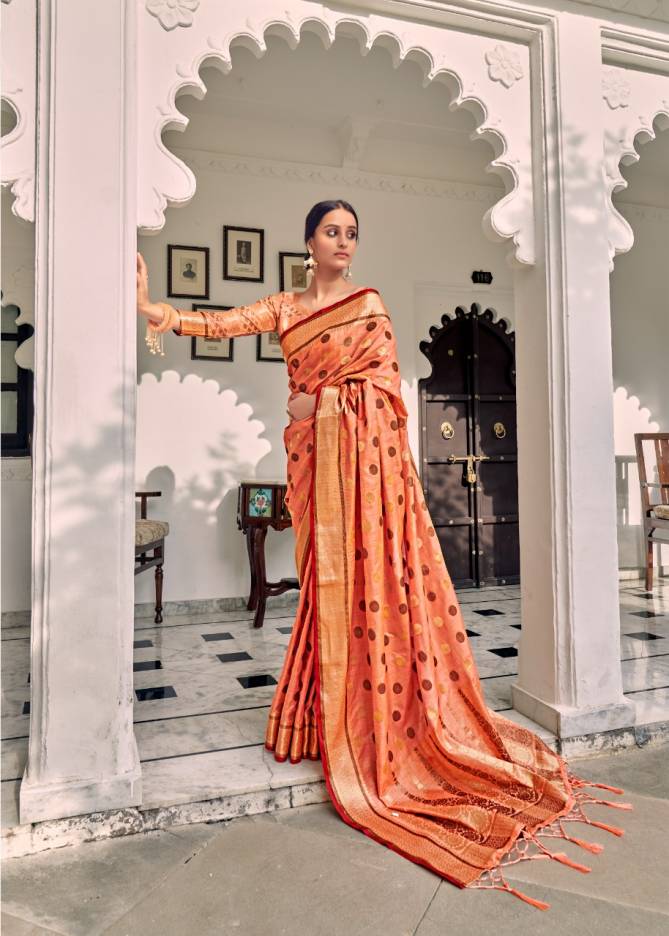 Rajyog Aviana Heavy Stylish Festive Wear Silk Designer Saree Collection